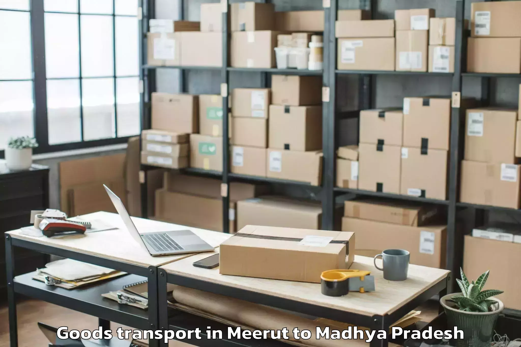 Top Meerut to Barnagar Goods Transport Available